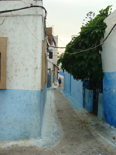 street4.jpg