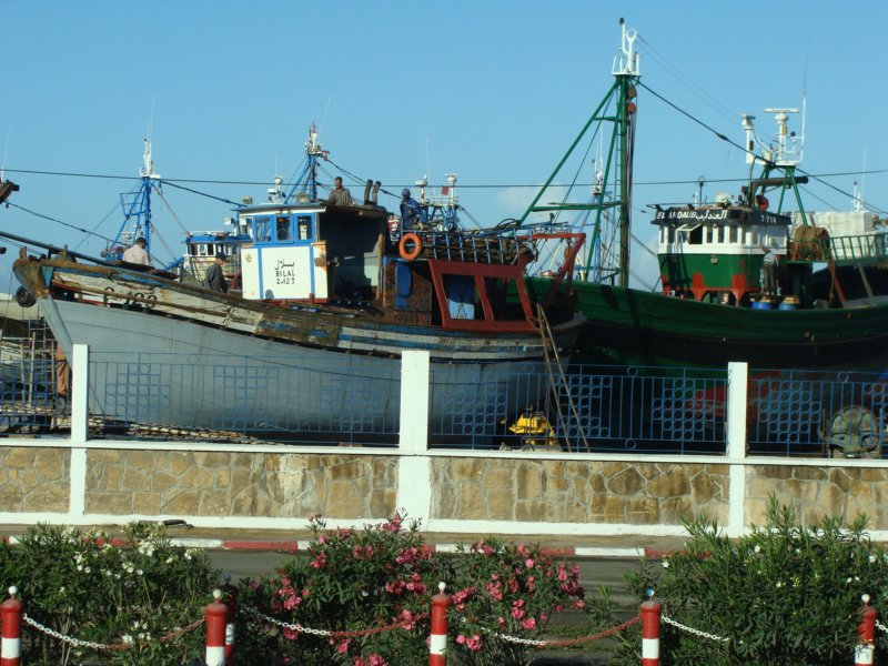 portofsafi.jpg