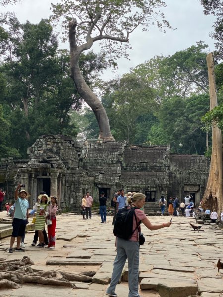 taprohm.jpg