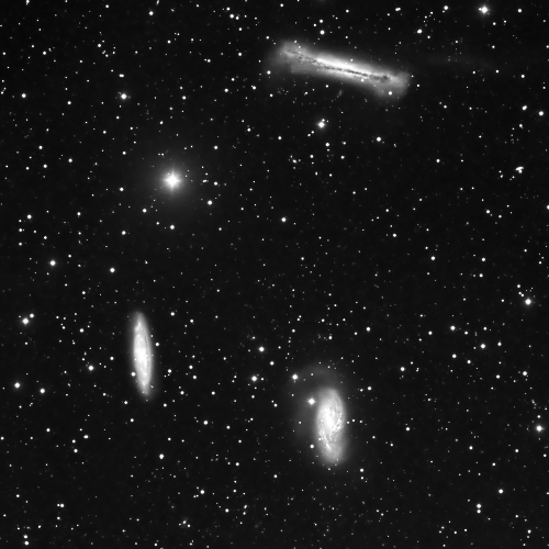 Leo Triplet in Luminance